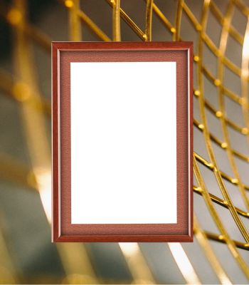 Synthetic Frames